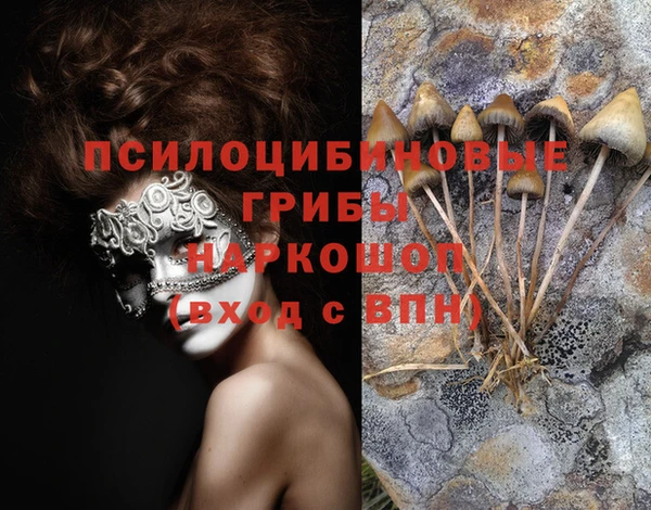 твердый Арсеньев