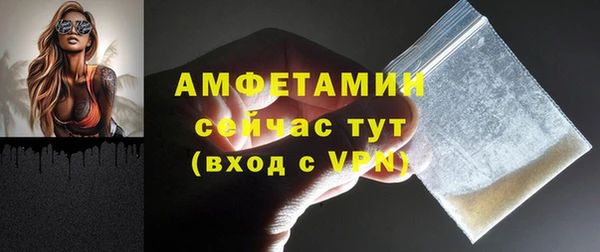 твердый Арсеньев