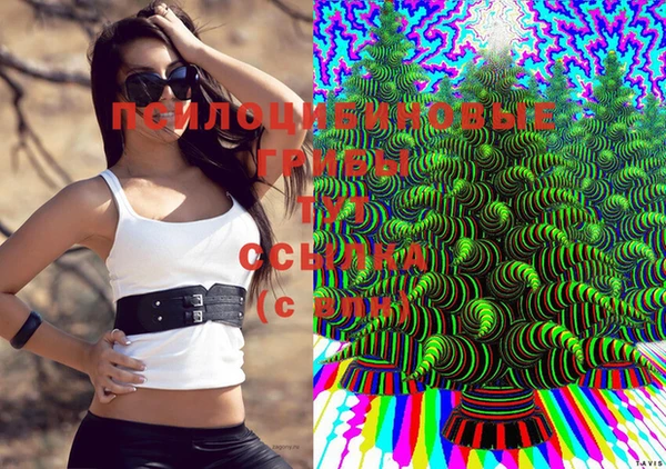 твердый Арсеньев