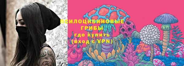 твердый Арсеньев