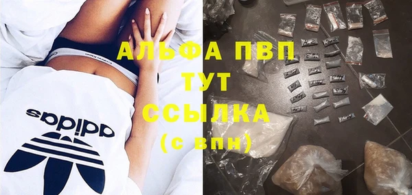 прущий лед Михайлов