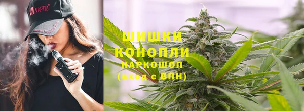 твердый Арсеньев