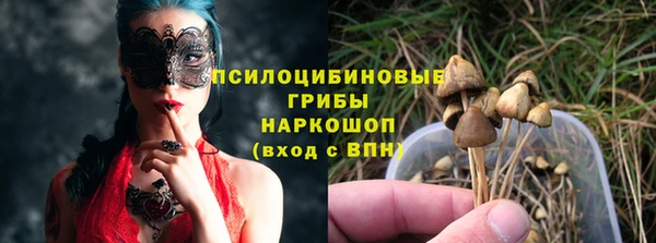 ПСИЛОЦИБИНОВЫЕ ГРИБЫ Аркадак